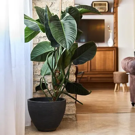 La Maison De Lili * Verzenay