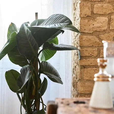 Prázdninový dům La Maison De Lili